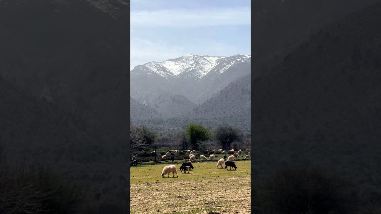 Горы Крита!🏔️ #crete #travel #nature #mountains #sheep #крит #природа #горы &kappa;&rho;ή&tau;&eta; #greece