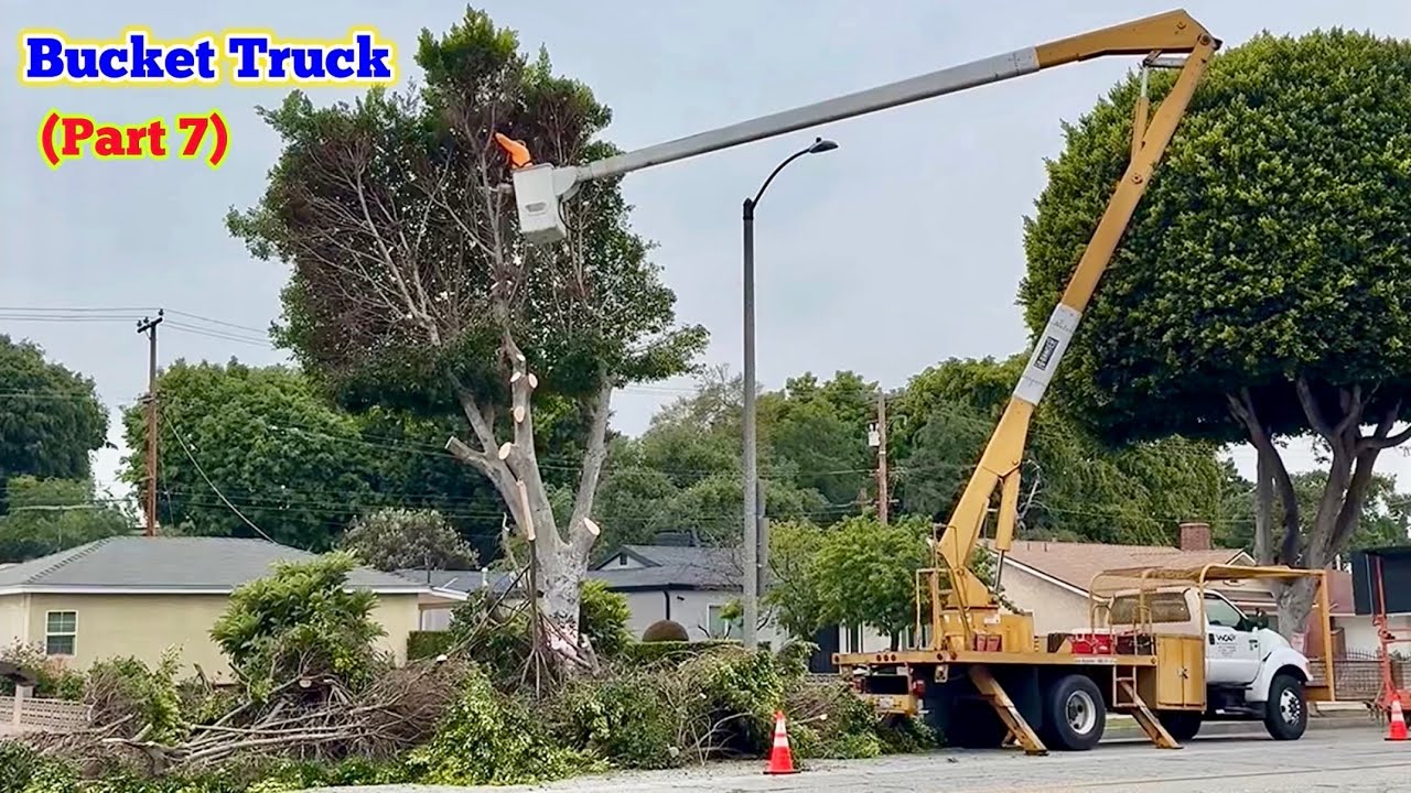BUCKET TRUCK In Action (Part 7/20)｜Tree Removal｜WCA｜West Coast Arborists
