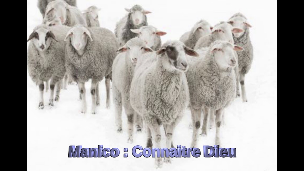 Pasteur Manico : connaître Dieu