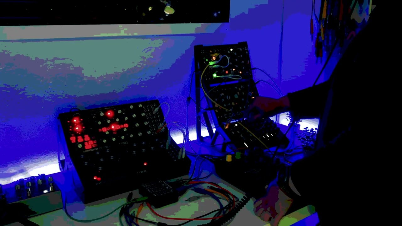 Downtempo ambient live performance