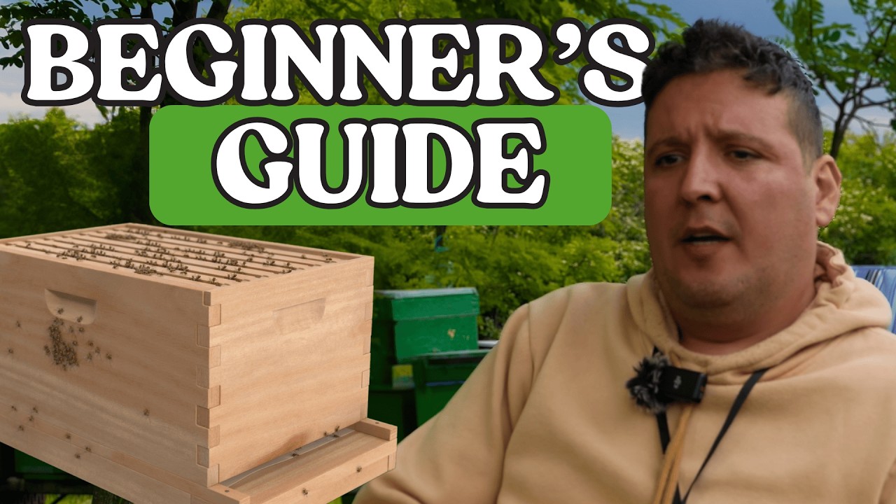 How to Become a Beekeeper (Beginner Beekeeping Basics)