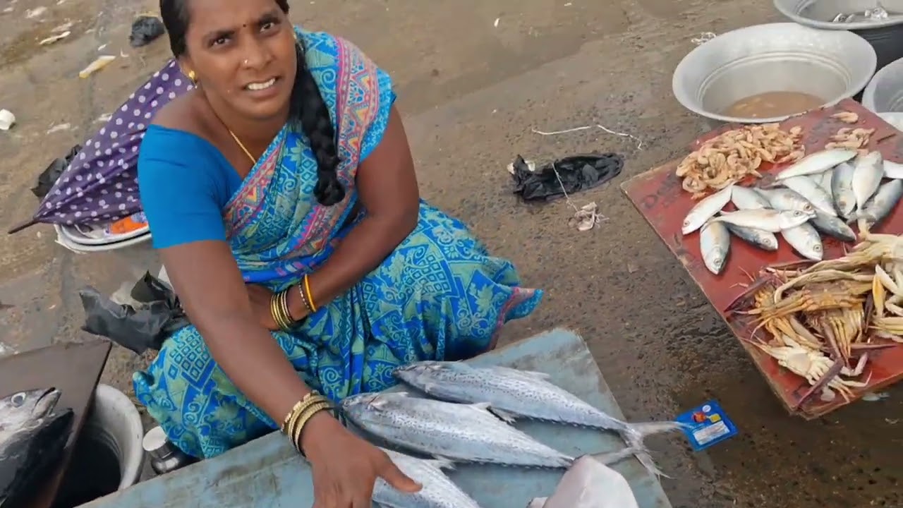 🐟காசிமேடு மீன் சந்தை🐟 4-10-25 மீன் விலை நிலவரம்|kasimedu fish market#fish#seafood#Kasimedufishmarket