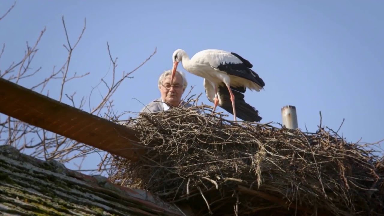 Malena i Klepetan - Voda s porukom ljubavi