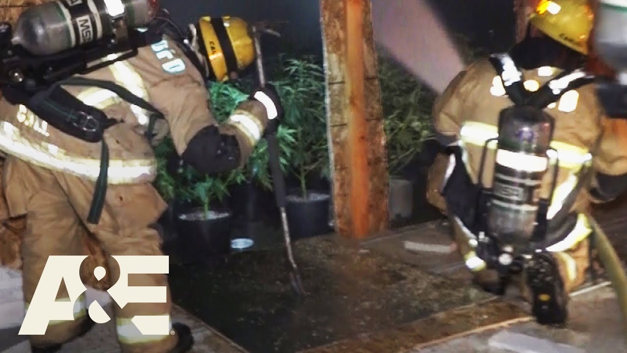 Live Rescue: Grow House Fire (Season 2) | A&E