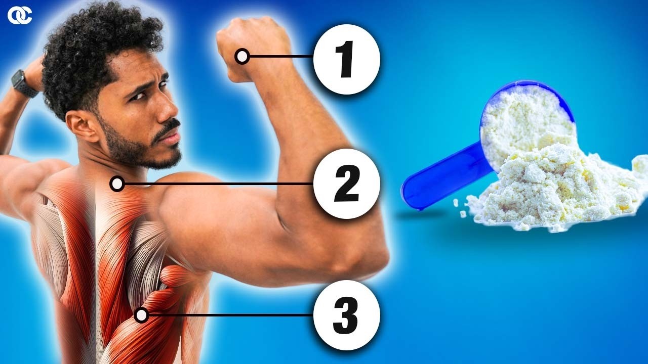 CREATINA Las 12 Cosas Que Nadie Te Cuenta (Incluye estudios científicos)
