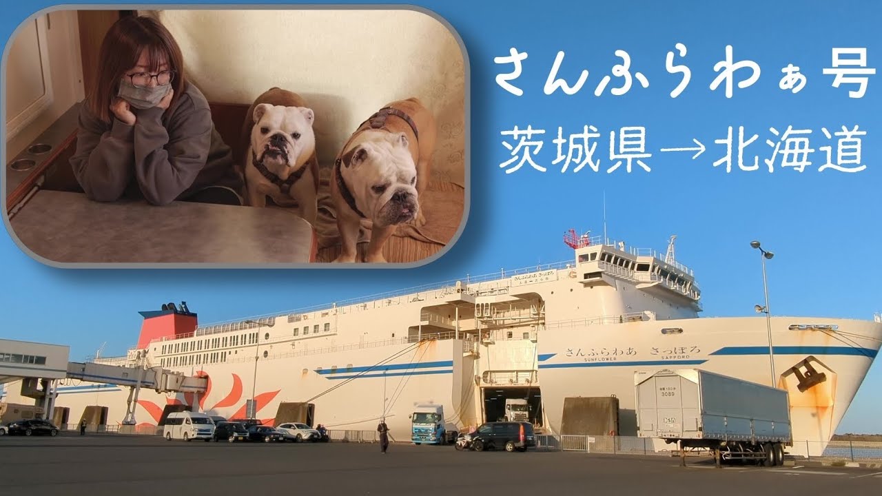 【北海道・海の旅】航海距離750㌔、本州縦断、大型犬2匹と行く大洗→苫小牧のさんふらわぁ号海の旅♪