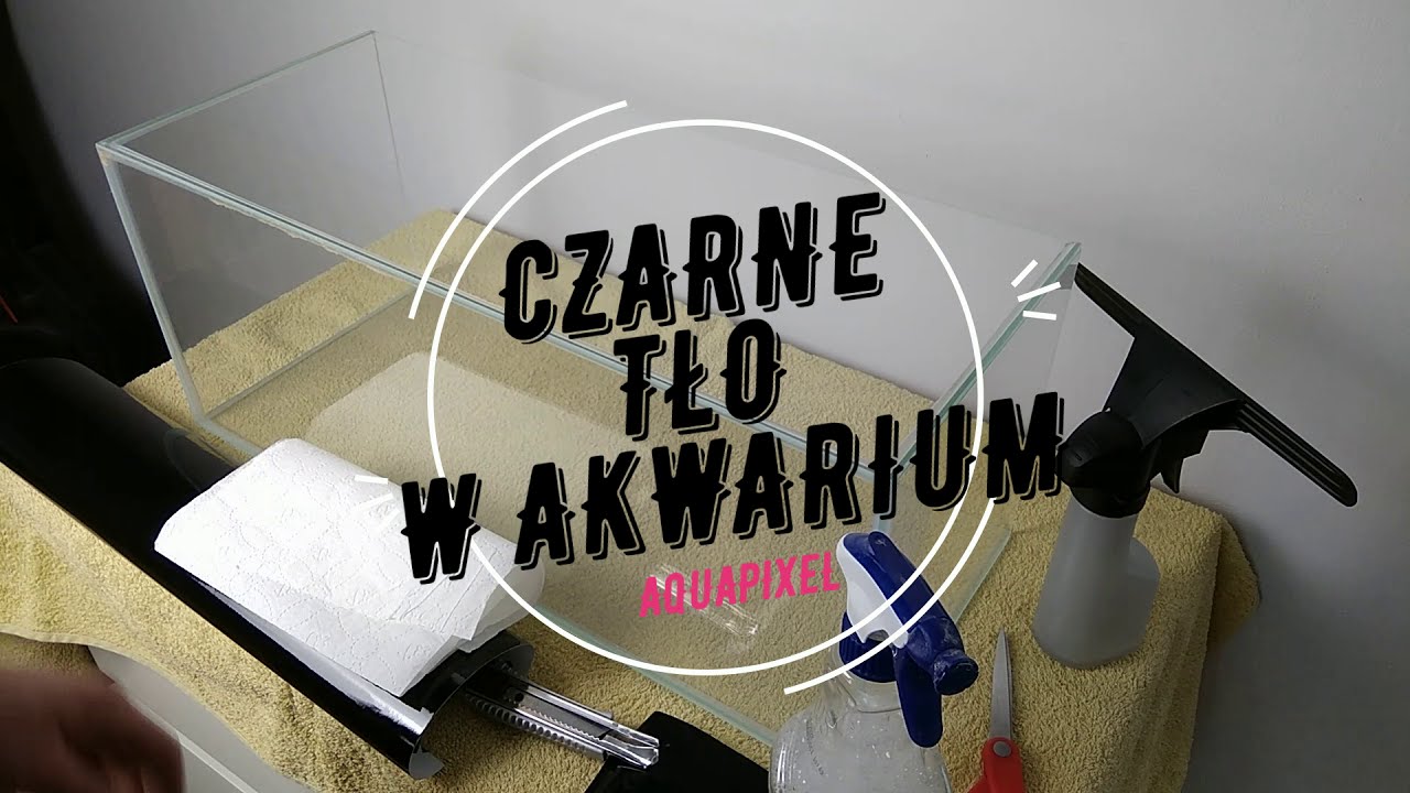 Jak zrobić czarne tło w akwarium? Oklejamy tylną szybę w akwarium