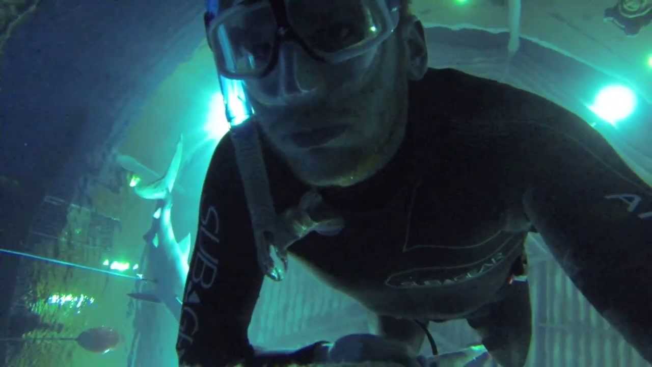 Another FRC dive