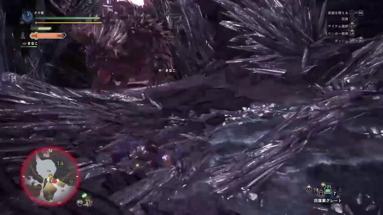 [MHWib]深夜の太刀修行