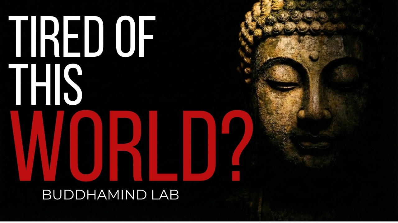 When you feel utterly fed up with this world   #buddha #buddhateachings