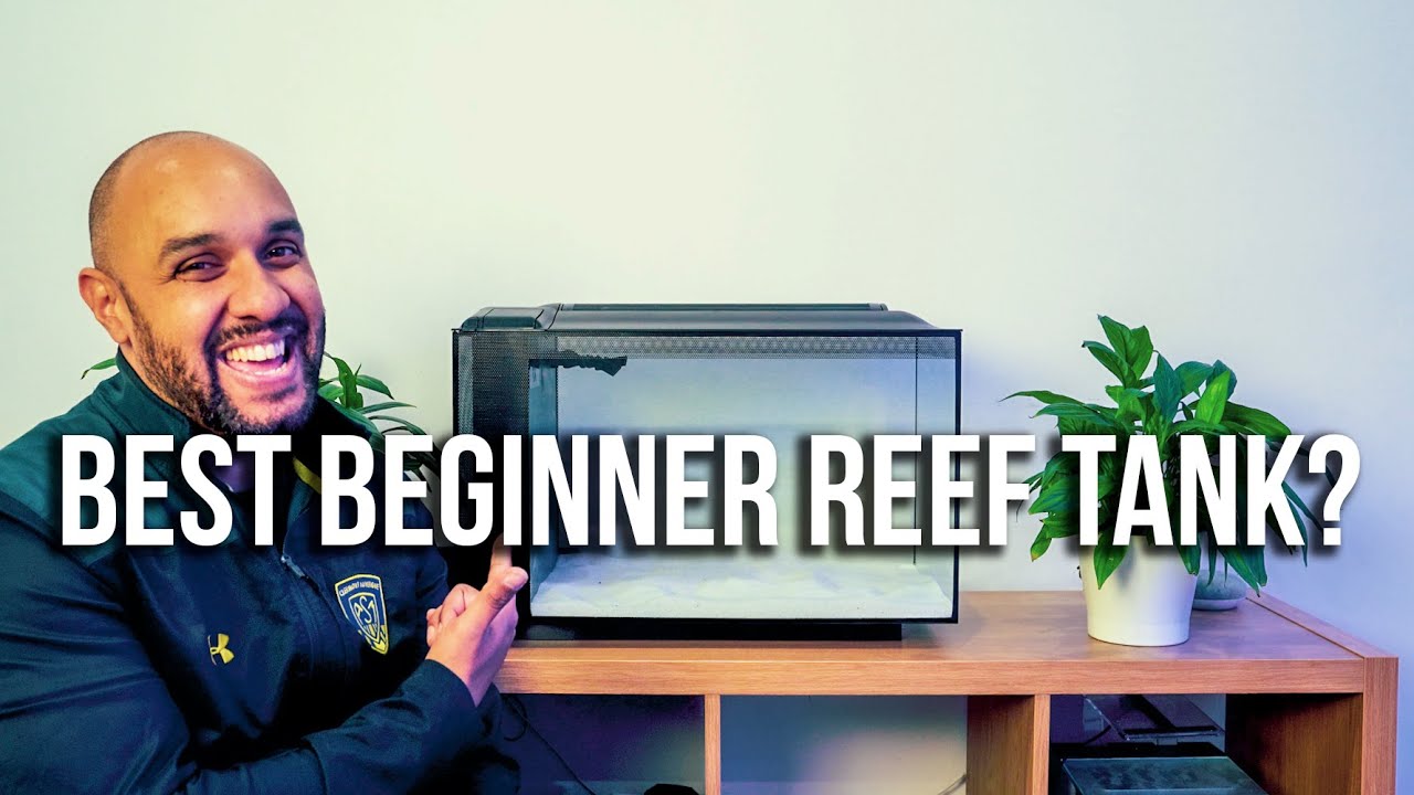 This May Be The Best Cheap Beginner Reef Tank #SuperSimpleBudgetReef Ep1