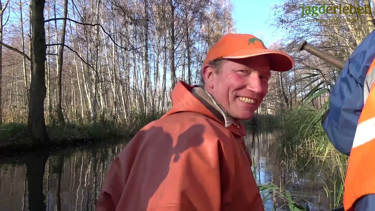 Durchgehen bei der Drückjagd im Spreewald | Driven Hunt in Germany