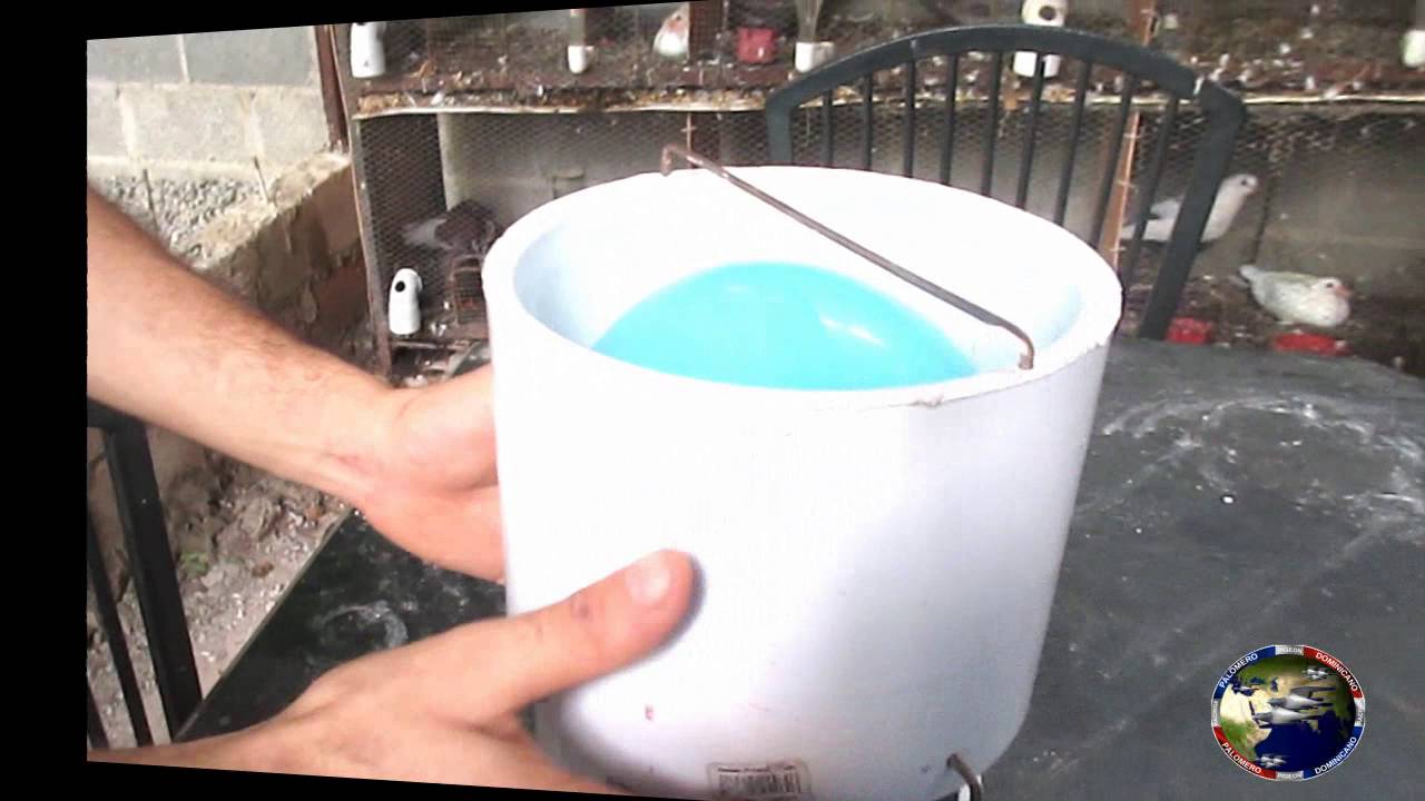 Como hago los nidos de mi palomas