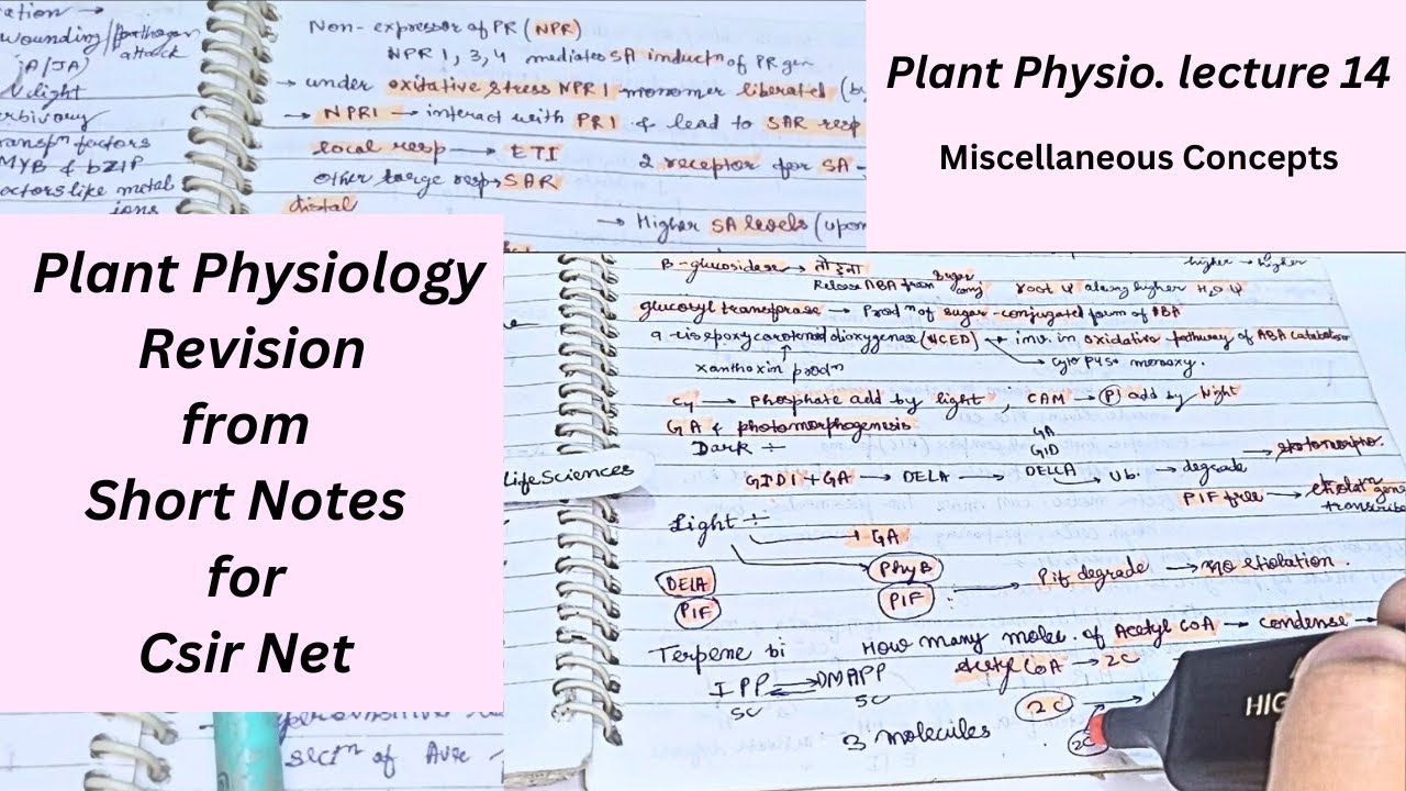 Plant Physiology Revision | Short Notes for CSIR NET, GATE, DBT, ICMR