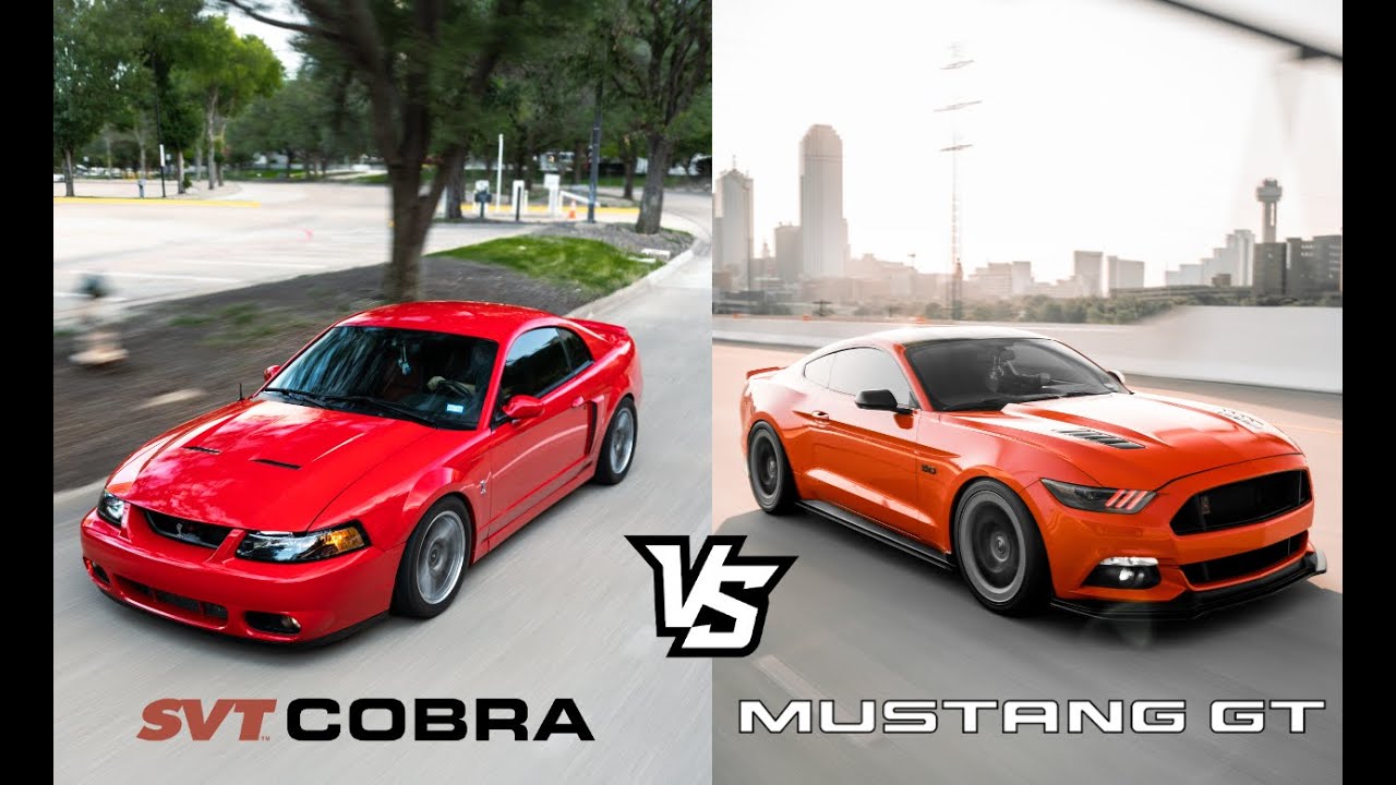 SVT Terminator Cobra or/vs Coyote 5.0 Mustang? Which one should you buy? | Owner's Perspective