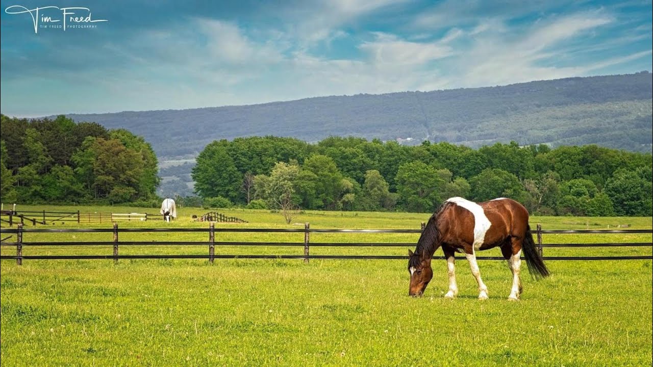 Letchworth Farm Guesthouses | Best Cabins in Nunda
