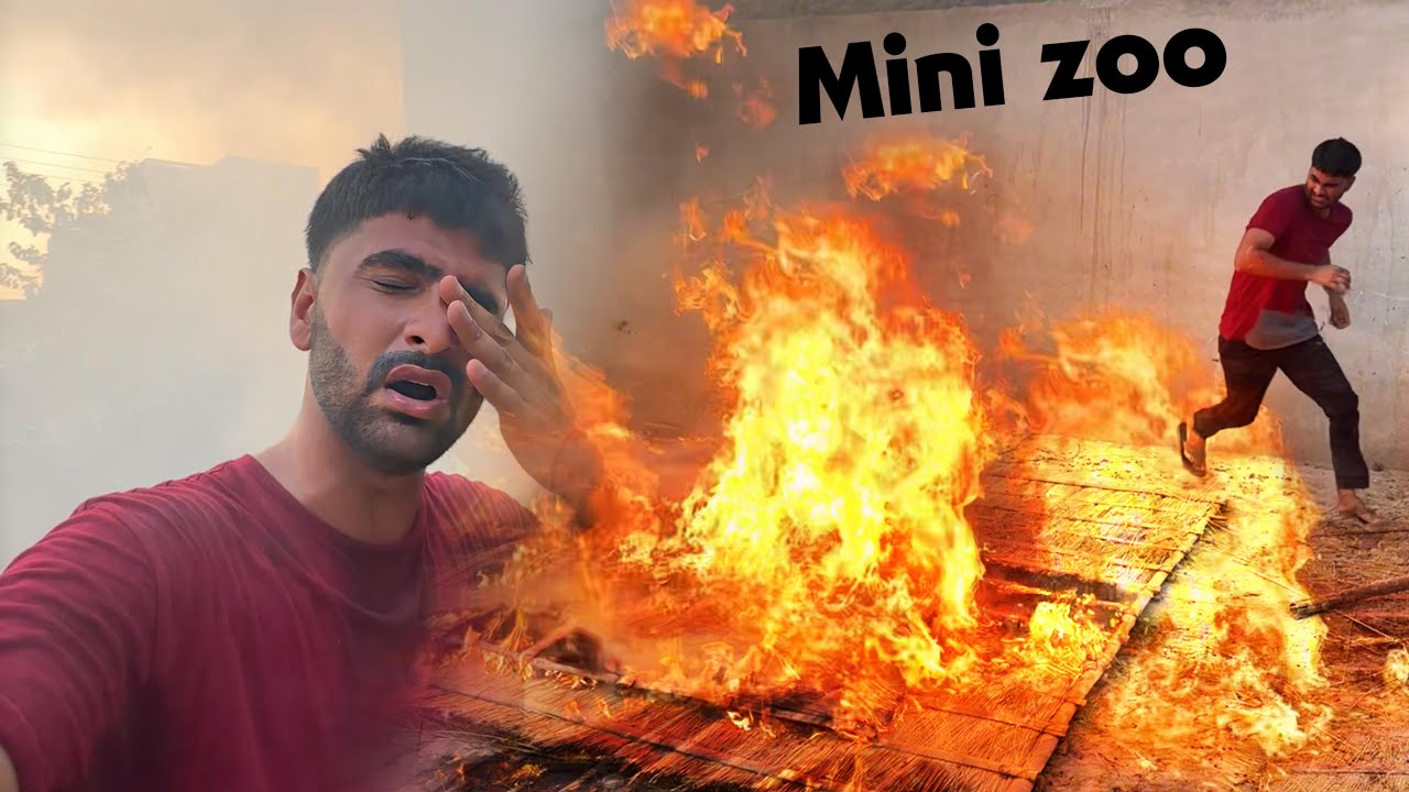 Mini Zoo Main Agg lg Gai Yar Ye Sabtain Ny kia Hrkt ki😡😨