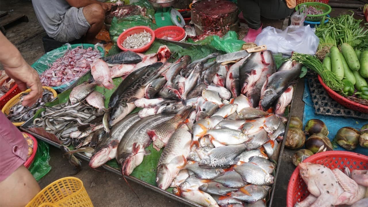 Compilation Morning Food Market in Phnom Penh City - Walking Tour Around Food Market in The Morning