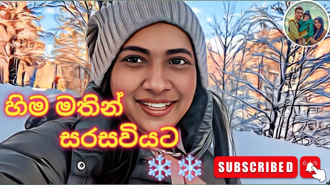 හිම මතින් සරසවියට | On My Way To Mid Sweden University | Life With Ayu in Europe ❄❄ #sinhala #2025