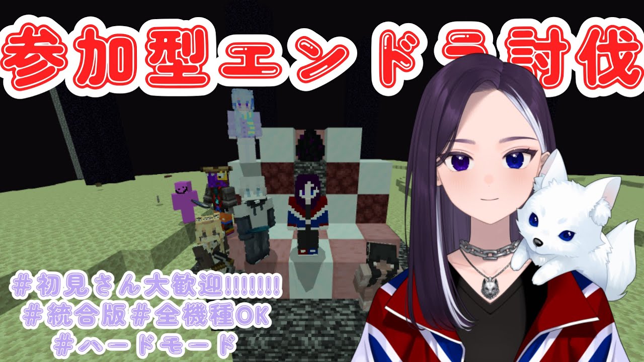 【参加型】良い感じの靴が欲しいけどエンドラ討伐 #初見さん大歓迎  #マイクラ 【LiccaLin/#VTuber】