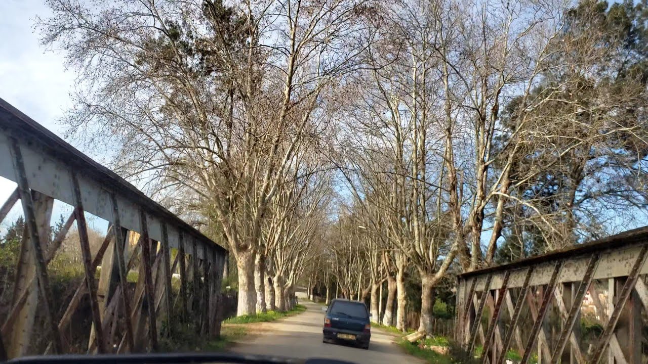 تيبازة إلى مدينة الناضور 24 جانفي 2021