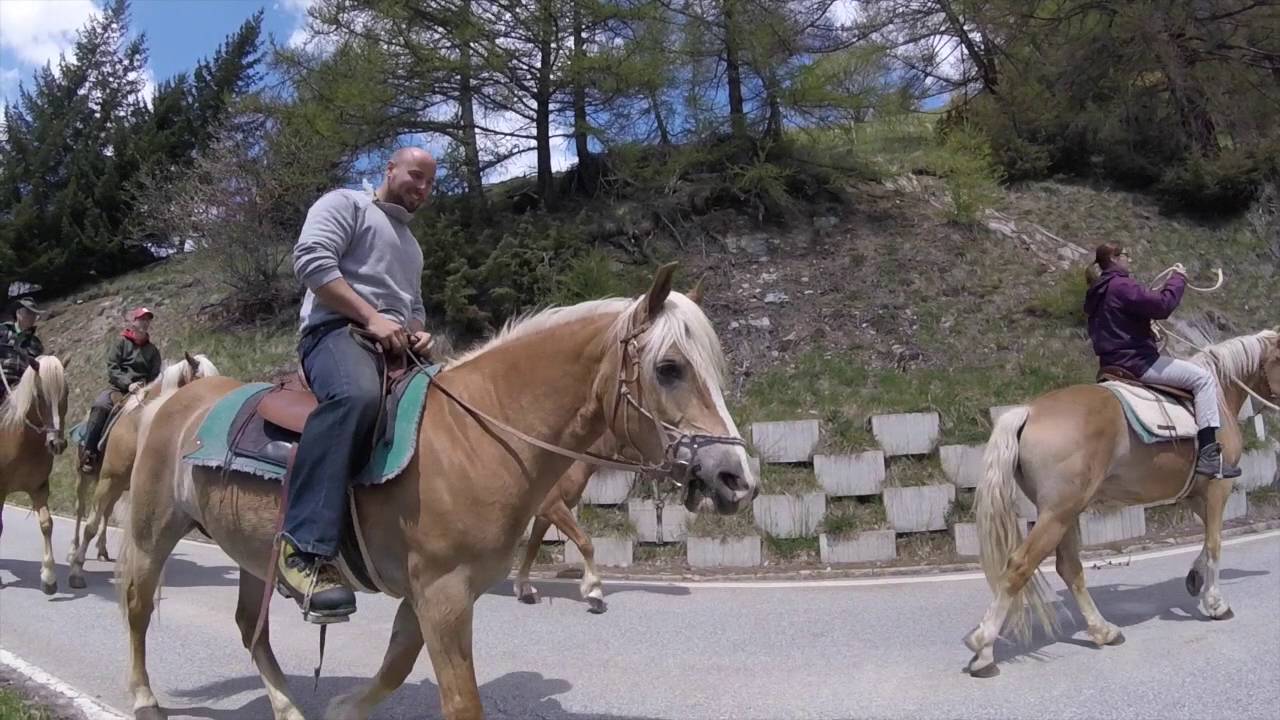 Pferdetrekking Wallis - Am Puls der Natur
