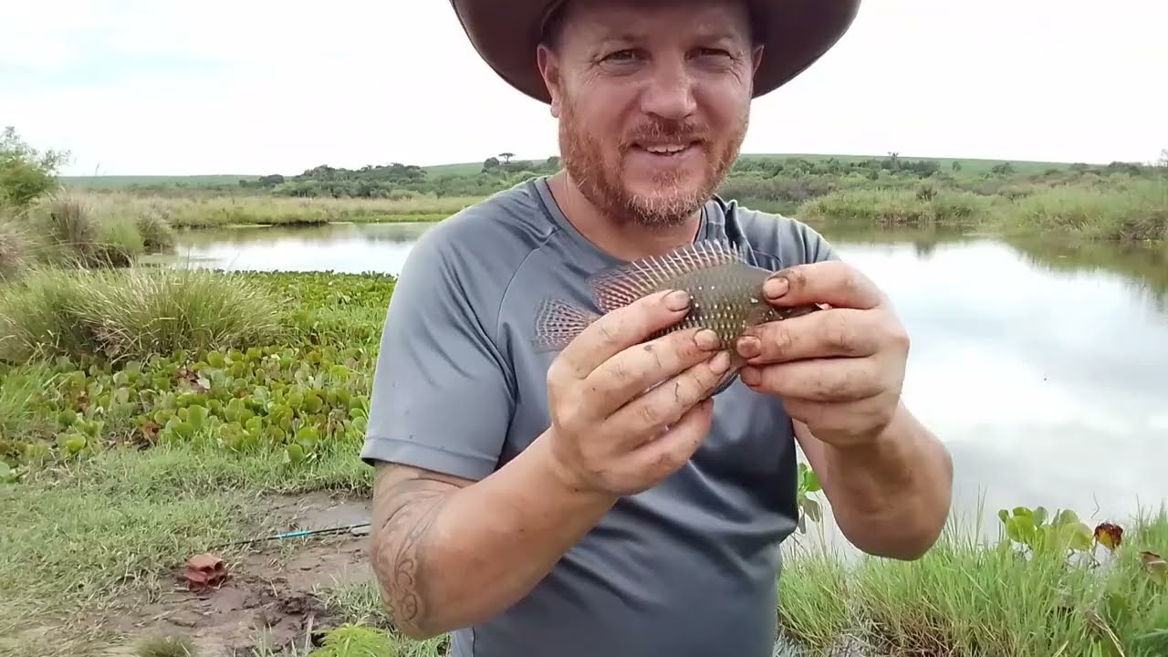 Você Não Vai Acreditar na Pesca de Lambari, Cara e Tilapinha – Surpresas da Pescaria Raiz🎣