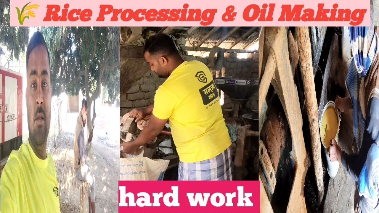 “Village Power Mode ON ⚙️💥”🌾 Rice Processing & Oil Making | Village Machine#viral #ricemill 