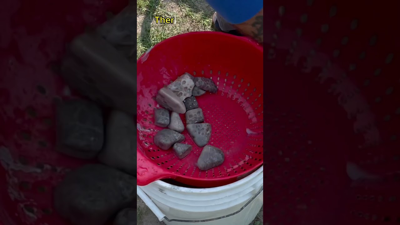 Reusing Rock Slurry while tumbling Petoskey Stones
