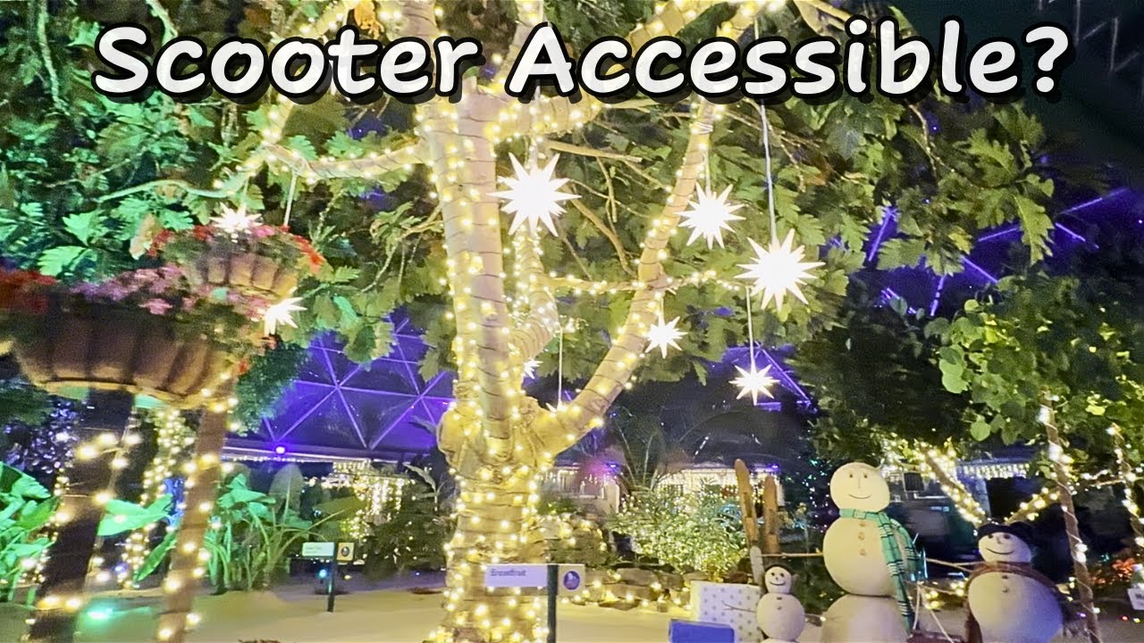 Can You Ride Glimmering Greenhouses with a Scooter? Here’s What Happens