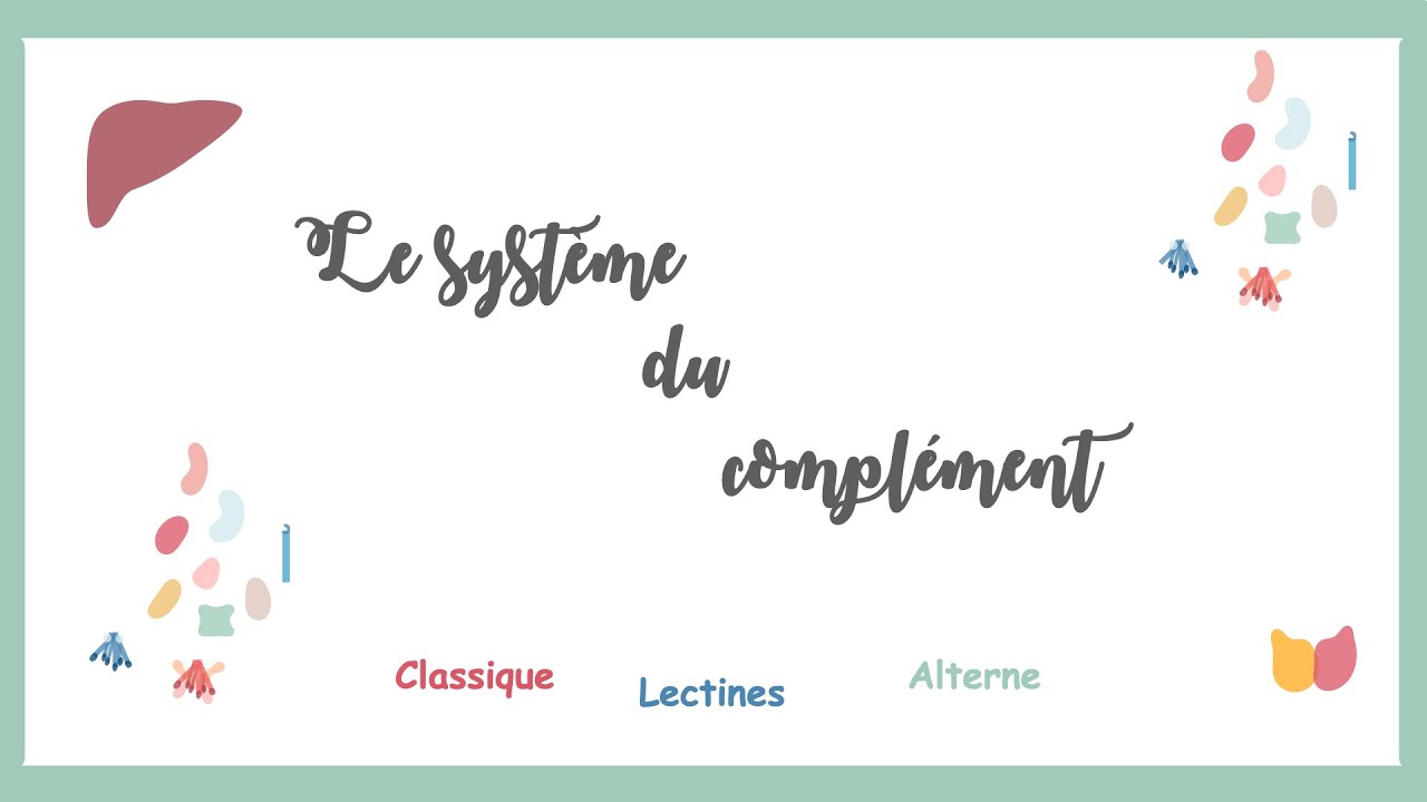 Le syst&egrave;me du compl&eacute;ment(voie classique, des lectines et Alterne)- Immunologie.