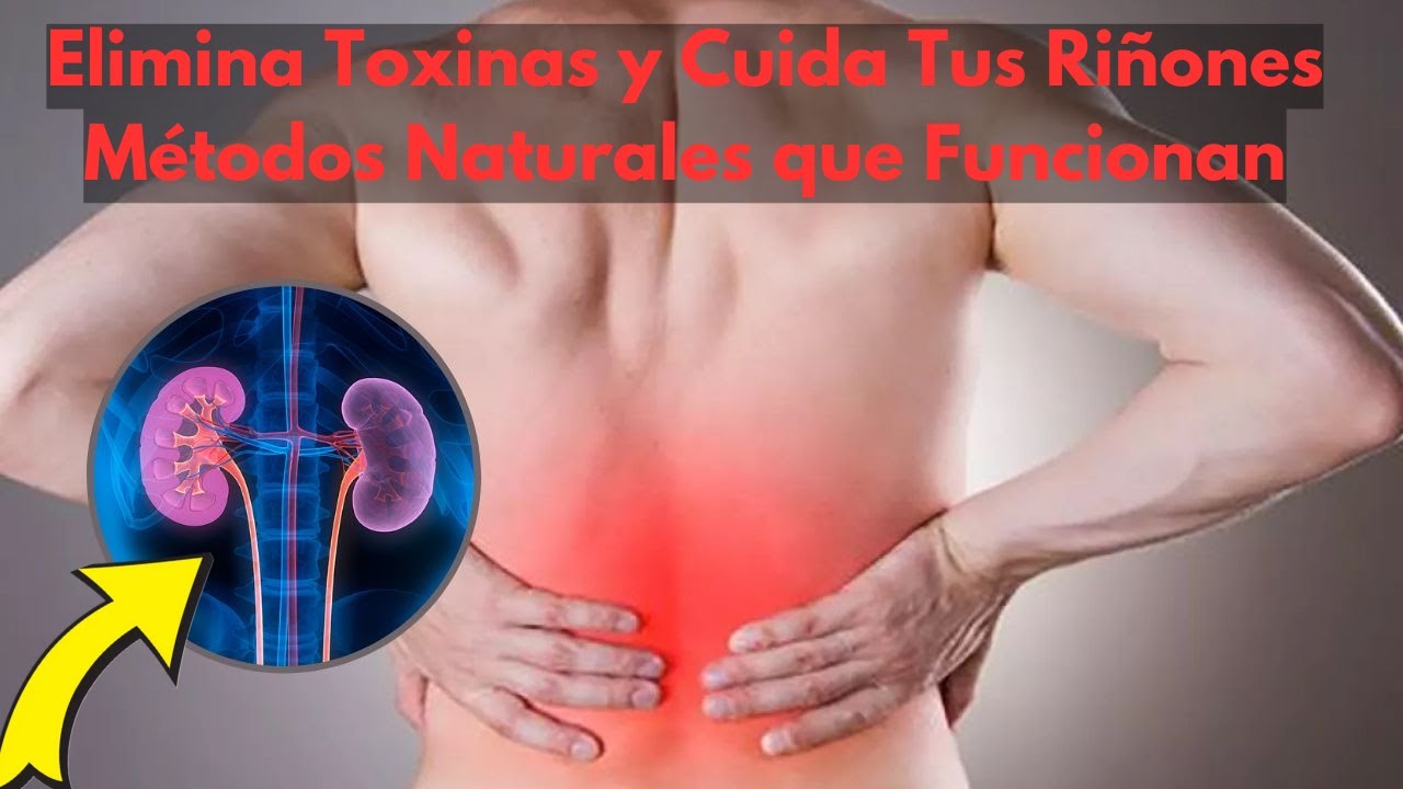 C&oacute;mo Limpiar Tus Ri&ntilde;ones y Mejorar Tu Salud Renal Naturalmente