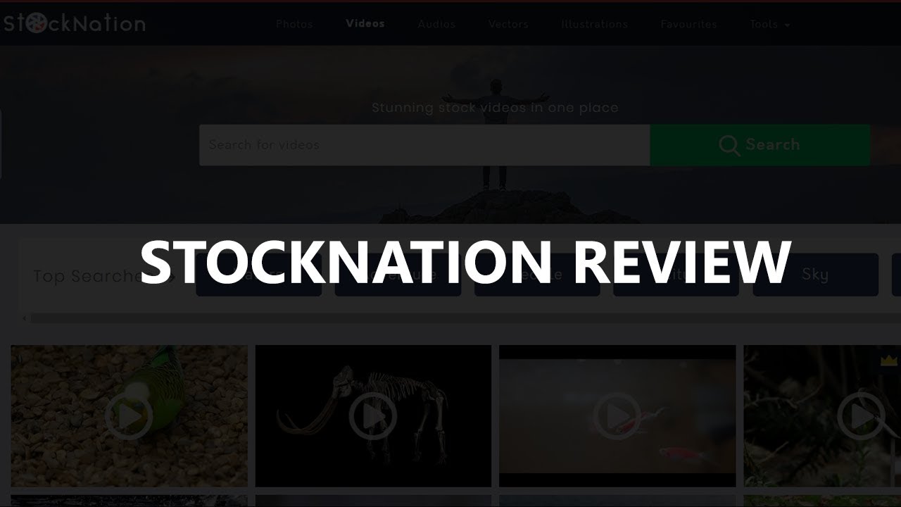 StockNation Review - BEST Stock Collection?