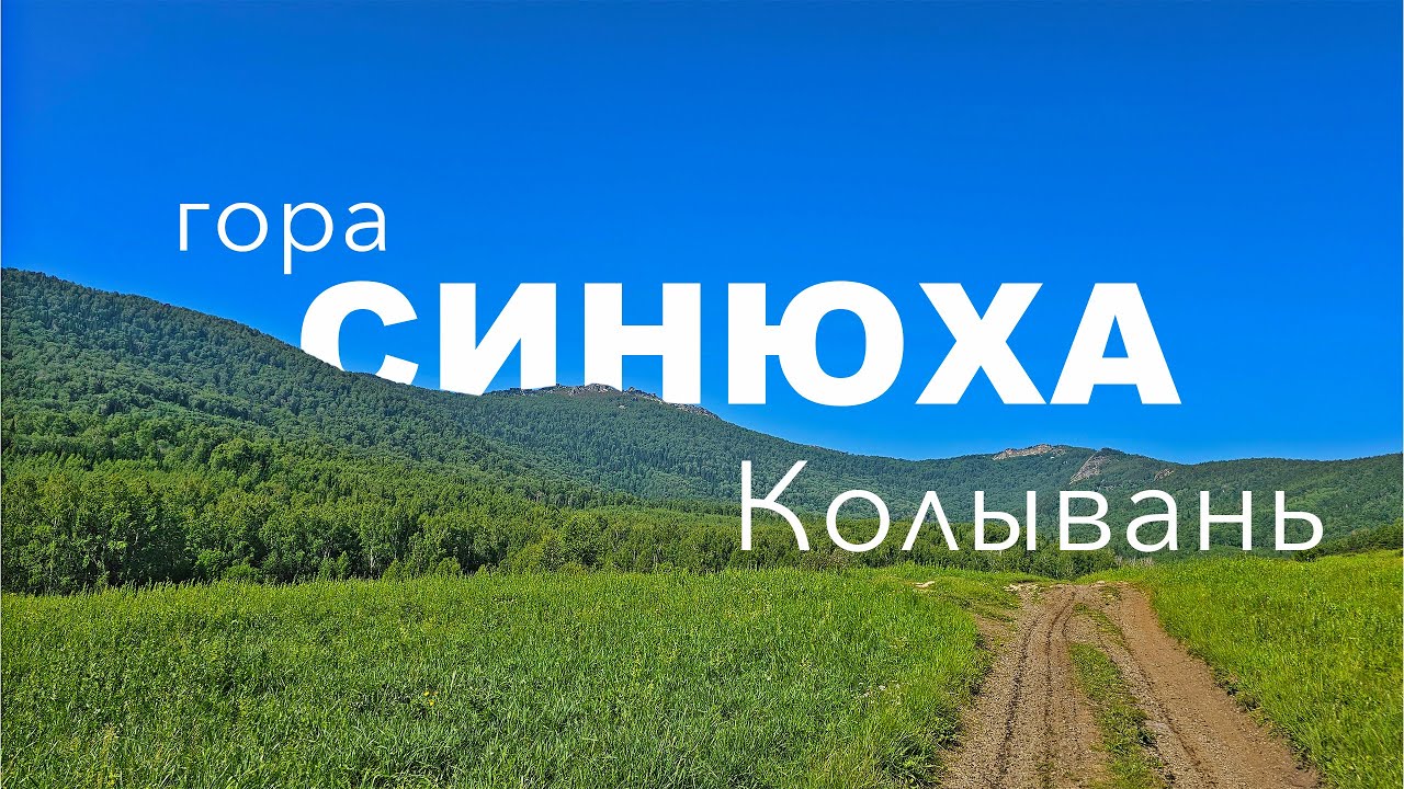 Седьмой подъем на Синюху в Колывани ⛰️ @akolyakin