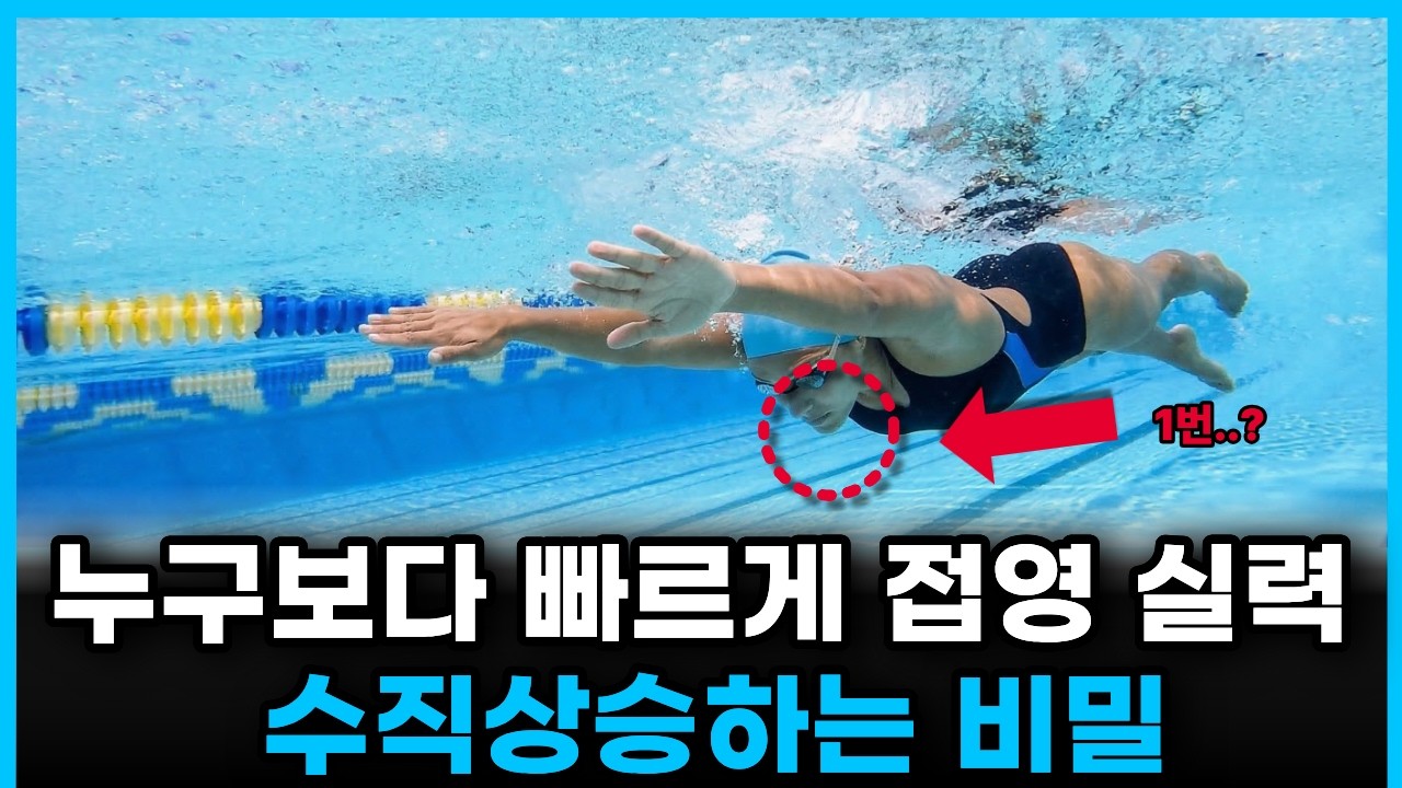 초보자 1000명 피드백하고 알게된 접영 치트키