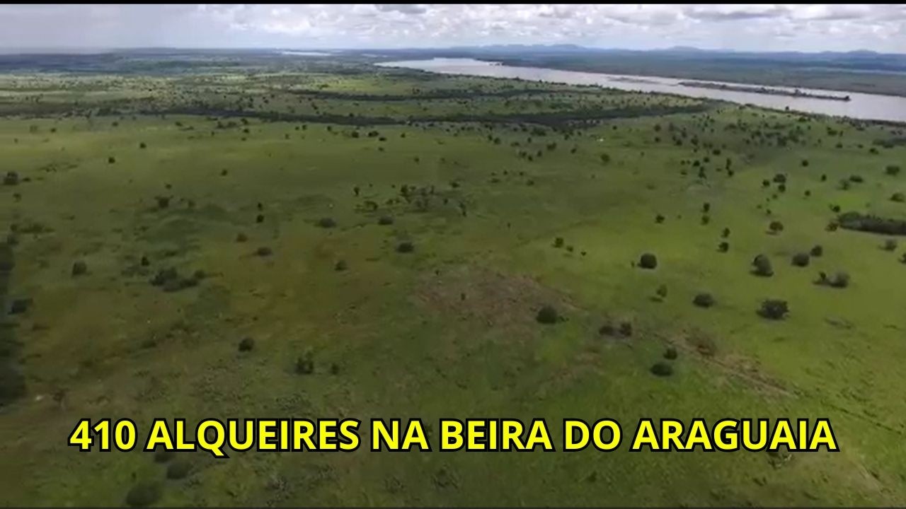 Fazenda à Venda no Tocantins – 410 Alqueires na Beira do Rio Araguaia | 100% Plana