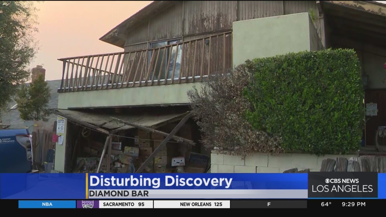 Dead Animals, Cremated Remains Found In Hoarder's Diamond Bar Home