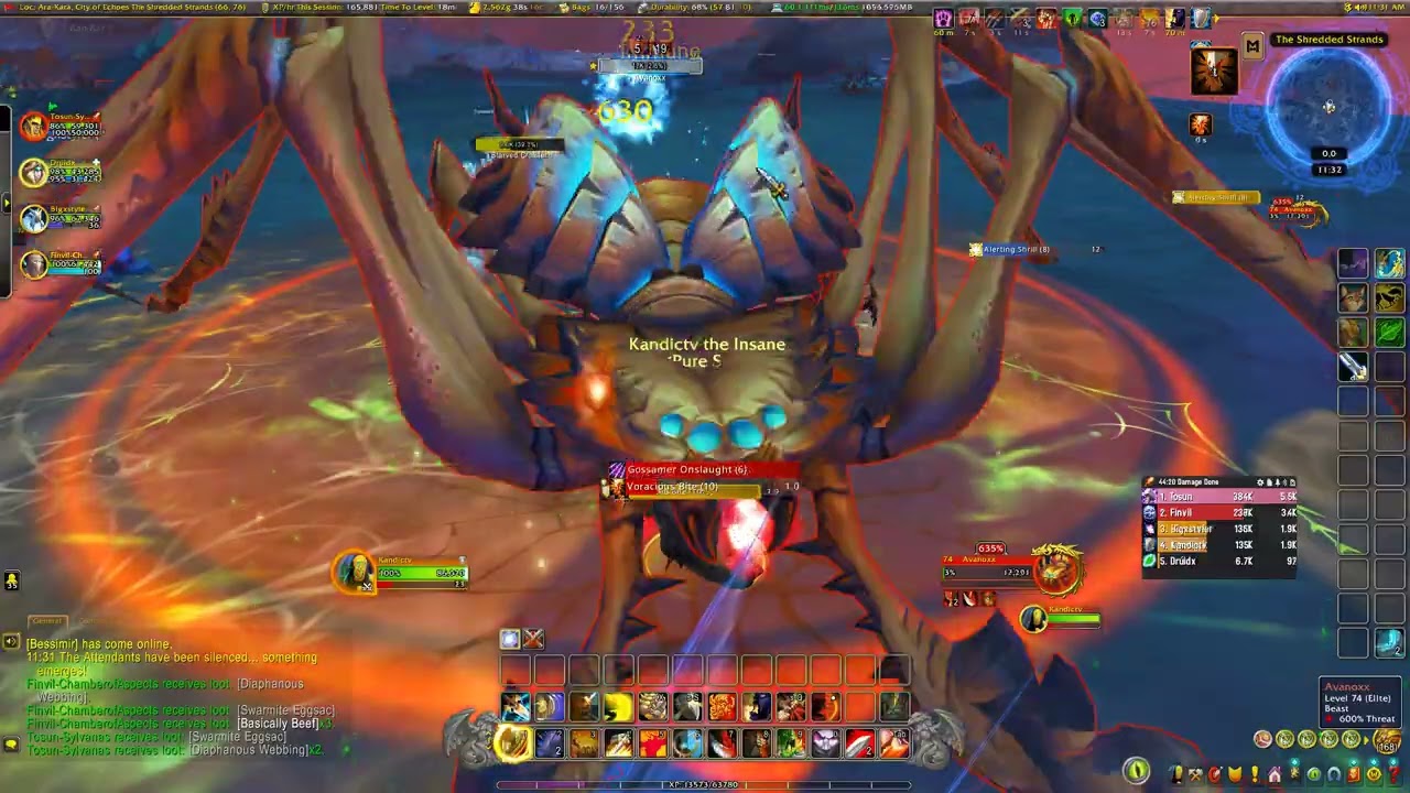 Live - Level 73-74 - Tanking Ara-Kara, City of Echoes