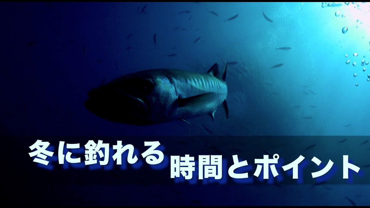 冬はちょっと違う？寒い時期に魚の活性が上がる、釣れるタイミングとは