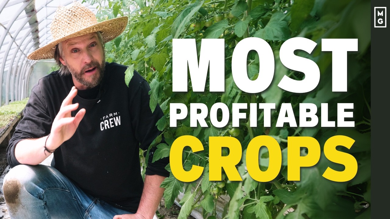 15 MOST PROFITABLE Crops For Small Farms & Market Gardens
