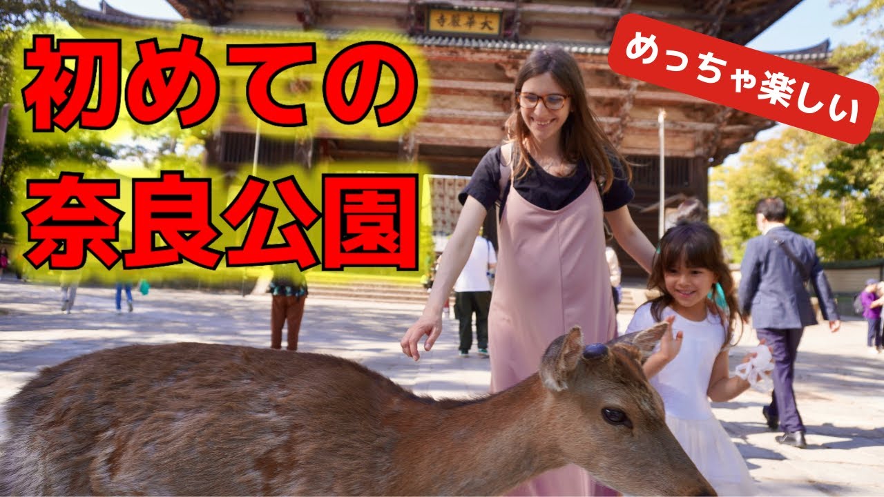 初めて奈良公園に行ったら、ハプニングが多すぎて大興奮！