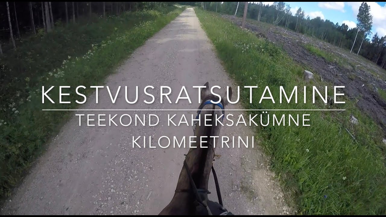 KESTVUSRATSUTAMINE - TEEKOND KAHEKSAKÜMNE KILOMEETRINI