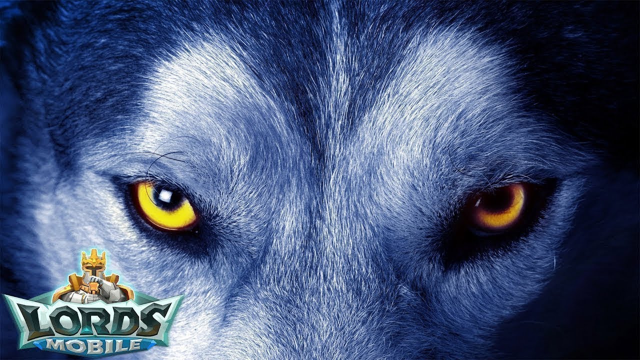 Рассказ Васи (Wolf Bazil) о колизее, каких героев лучше брать || Lords Mobile