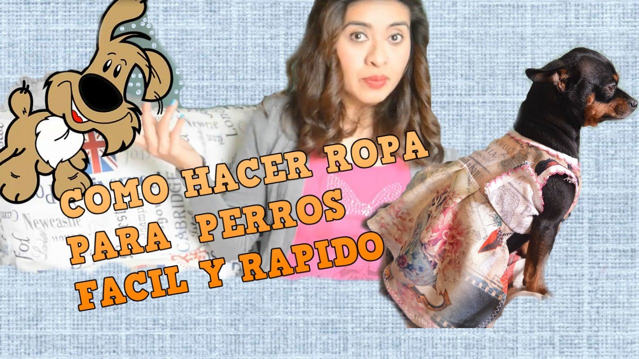 COMO HACER ROPA PARA PERROS CHIHUAHUA (HEMBRA)