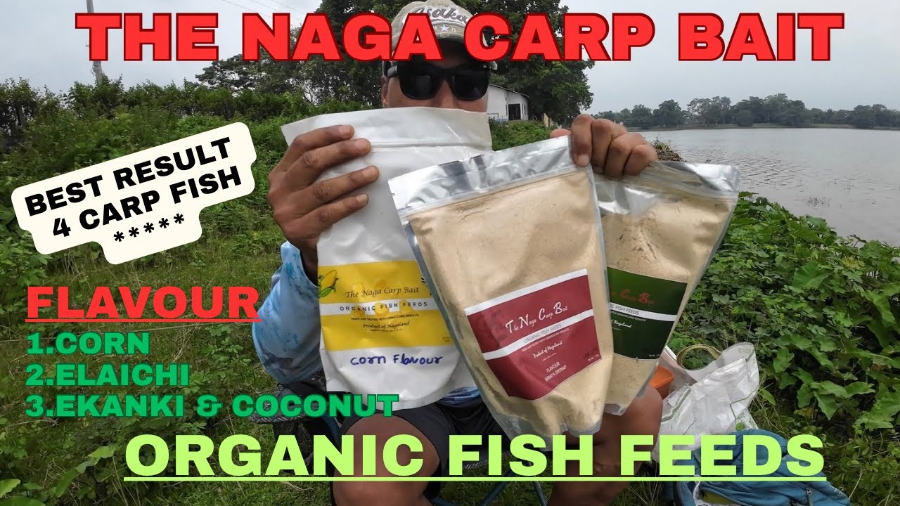 The Naga Carp Bait testing video 🐟Best bait for carp fish