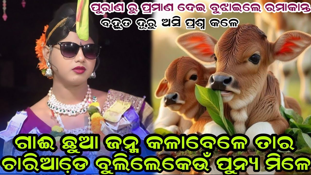ଗାଈ ଛୁଆ ଜନ୍ମ କଳାବେଳେ ତାର ଚାରିଆଡେ଼ ବୁଲିଲେକେଉଁ ପୁନ୍ୟ ମିଳେ#maa benjaren danda#chindaguda2026