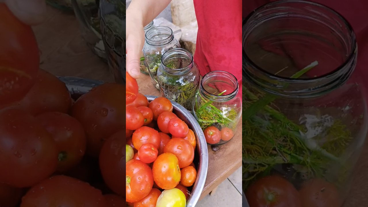 Homemade Tomato Pickles &ndash; From Garden to Table! #TomatoPickles #HomemadePickles #HomemadeRecipe