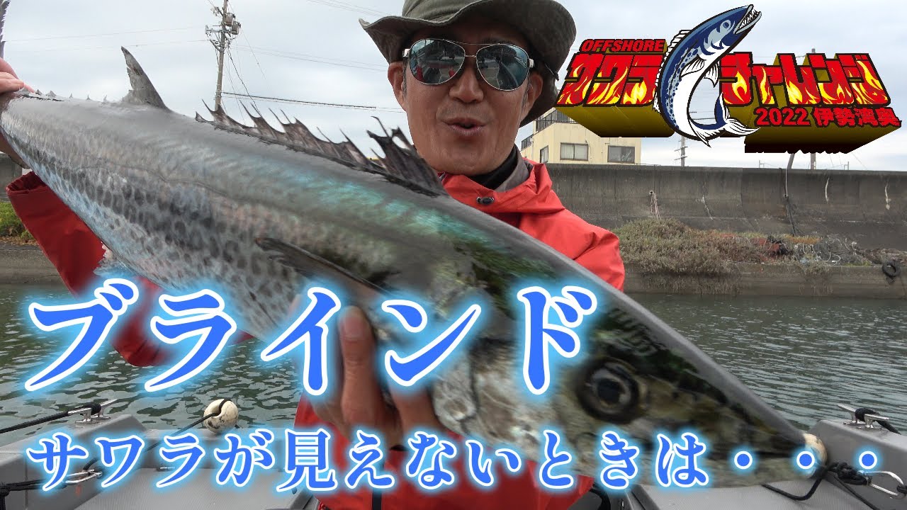 あと3日！【11/5 サワラチャレンジ】絶対に釣りたい！その為には！伊勢湾奥サワラキャスティング