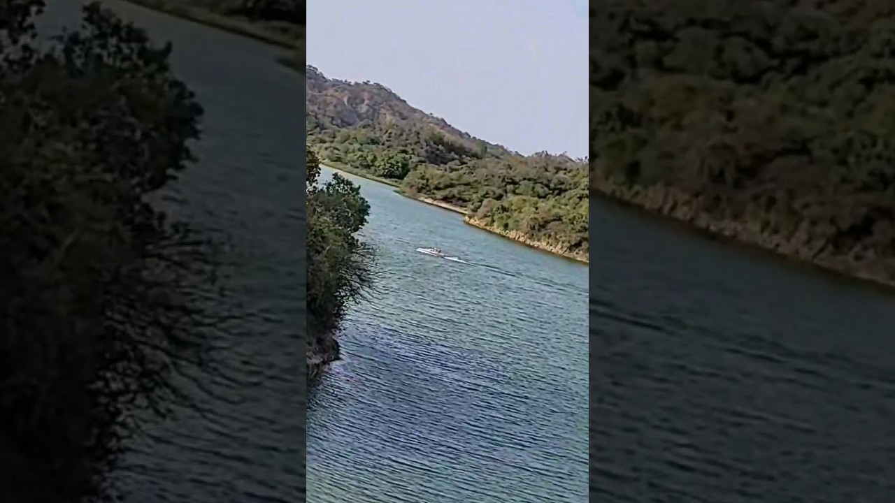 Thana Dam at Hoshiarpur Punjab | Hoshiarpur Forest Division|