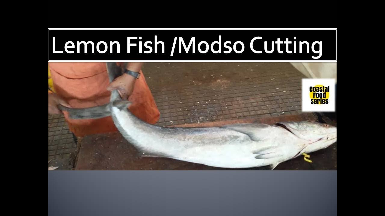 BIG LEMON FISH SLICING| | MODSO FISH FILLET| | SEA FISH CUTTING